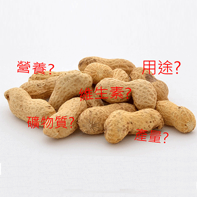 花生小知識